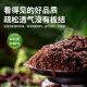 根力豆椰砖营养土椰糠砖养花种菜通用型椰壳砖花土椰砖椰土土壤种植土 脱盐椰糠砖【675G一块】