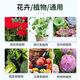 Russian A rehabilitation Hefei general plant nitrogen and phosphorus imported agricultural vegetable potassium sulfate fruit tree water-soluble fertilizer Russian compound fertilizer/5Jin Jin equal to 0.5kg (packaging random))
