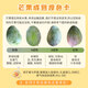 Jingxiansheng Panzhihua Kate Mango, net weight 9Jin Jin is equal to 0.5kg, single fruit 500g+, fresh fruit, straight from the source