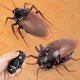 Delektation (Delektation) Beliebte Induktion Elektrische Kakerlake Kinderspielzeug Jungen und kleine Mädchen Schwarze Technologie Streich Dekompression Artefakt Kreativität [Mini -Version - Induktionskakerlake] Brown 9902A+ Schraubendreher offizieller Standard