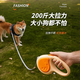 Beichuzhong dog leash, automatic leash, dog leash, large, medium and small dog leash, retractable dog leash, orange 5M automatic retractable leash, comfortable feel, flexible braking