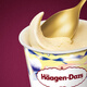 Haagen-Dazs classic vanilla ice cream 100ml/cup ice cream