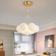 Zunyi светодиодная гостиная Main Lighting Restaurant Nordic Creative Creative Cream Style люстр люстр спальня Потолочная лампа целый дом Комбинированный пакет 1W 9734-черный с 13 головным трехцветным светло-белым шаром 1