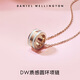Daniel Wellington DW Collier Femelle Pendre Jewelry Rose Gold Chinese Saint Valentin Gift DW00400153