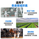 IGENU Ozone Generator Portable Pipeline Industrial Commercial Disinfection Machine Breeding Farm Livestock Farm Deodorization School Laboratory Sterilization Food Cosmetics Factory Clean Workshop Deodorization 18g/h Upgraded Model (Cycle Timing + Countdown)