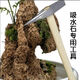 Water-absorbing stone water-absorbing stone rockery bonsai raw material rough stone special chisel landscape bonsai DIY carving pick 500g chisel free yellow cement