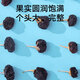 Schwarzer Wolfberry Qinghai Qaida Holzstoppble Medium Großfrucht 60G Gesundheits -Tee -Getränk Brewing Tea Wolfberry Tonikum