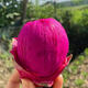 Authentic red dragon fruit in season, freshly picked, super sweet, seasonal fresh red flesh fruit, 2 Jin Jin in box equals 0.5 kg (single fruit 200g)
