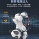 JJRC儿童早教智能声控机器狗玩具男孩1-3岁2宝宝4-6岁8小孩仿生机器人 N1金【智能跟随+编程+触摸互动】 两岁二到三岁孩子童年礼物
