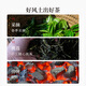 Zhongling Chaozhou Phoenix Danzhu First-level Duck Shit Fragrance Oolong Spring Tea Taste Two Small Pots Trial About 16g