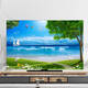 La nouvelle couverture de la poussière de Yusenyi Cover TV Cover Suncreen Tissu de 65 pouces Couverture de protection de 65 pouces suspendue Table d'écran incurvé B1391 MUSIQUE DOLPHIN 32 pouces 80 * 50cm
