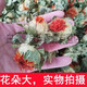 
Beijing Tongrentang Tibet Wild Saffron Flowers and Fruit Selected Chinese Herbal Medicine Saffron Fruit Whole Internet Celebrity Tea Saffron Head Tea Selected Saffron Head 250g