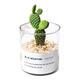 Succulent plant cactus potted indoor succulent cactus small potted flowering cute desktop green plant yellow hairy cactus + glass pot + gold sand + nutrient soil with pot