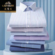 Classic Car High-End-Baumwoll-Langarm-Hemd-Hemd 2025 New Business Casual und Eisenfreie professionelle Mitte des mittleren Alters mit festem Farbhemd 6624 Lila dünne Streifen 41 (vorgeschlagenes Gewicht 145-155 Jin [Jin gleich 0,5 kg]))