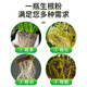 Correction Hualeduo powerful rooting powder plant rapid rooting liquid cutting tree transplanting strong seedlings water-soluble fertilizer flower rooting agent 500g