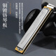 Tongbao Japan Tombo Tongbao 6624S harmonica 24-trous polyphonique c Tune Adult Performance Performance Grade #G (AB)