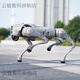 Yushu Voice Ai Modèle robot chien électronique chien incarné d'intelligence accompagnement bionic compagne robot quatre go2-pro + télécommande