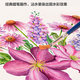 得力圆杆食品级炫彩棒 儿童学生画画美术涂鸦安全水溶性旋彩棒 油画棒(多色可选)。 HM723-12圆杆食品级水溶性旋彩棒12色/盒 学生画画炫彩棒油画棒 厂家直销多仓发货