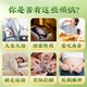 Miss Ruo Qingqian Willow Leaf Corn Scharf Mulberry Tea qui se lève tard pour promouvoir l'eau et les sachets de thé en santé pour l'arrosage. Produits authentiques officiels de l'écharpe au maïs de la feuille de Willow Qingqian Thé Mulberry * 1 boîte