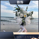 婚礼手捧花新娘结婚当天感婚纱照领证仿真郁金香求婚毕业花束 蝴蝶兰新妇罗 手捧花 0支