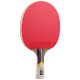 729 Table Tennis Racket KING Gold 6 Stars 7 Stars 8 Stars 9 Stars Double-sided reverse glue horizontal and vertical single shot 789 Stars 6 Stars horizontal shot Golden Six Stars Long handle 1 package Free photo set