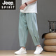 JEEP SPIRIT冰丝裤男裤子夏季薄款宽松九分休闲裤潮流大码百搭运动小脚哈伦裤 黑色 M 【95-120斤】