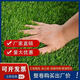 Simulated lawn artificial turf artificial fake lawn carpet simulated plastic lawn mat outdoor 2 cm thick spring grass 1 meter wide * 6 long