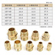 CHJ copper wire connector six points straight through short wire butt joint air compressor air pipe transfer water pipe accessories 2 pieces/pack (DN20) 6 points-6 points