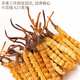 Cordyceps sinensis productos secos auténticos cordyceps sinensis caja de regalo Cordyceps sinensis wang xiong fengdao nutriente y salud Cordyceps sinensis tres gramos 50 raíces [caja]