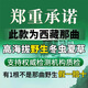 Naqu Zhifa 2025 Tibet Naqu High Altitude Authentic Wild First Fresh Cordyceps sinensis One-for-10 compensation for Naqu Wild Grass 1.5g/root-50 root