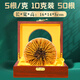 Tibetan Authentic Tibetan High-altitude Cordyceps Gift Box tonic for the first stage of the Cordyceps gift for elders and parents [Economic and self-use] 5 sticks/g-10 grams-50 sticks [Special discount]