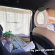 INSEREAN CAR BABY BABY SAGINE SEAGHT SHATE APPL