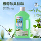 Juqi Selected Sock Cleaning Liquid 2L*1 Bucket No-Scrub Washing Underwear Washing and Sterilizing Rate 99.9% Gardenia Flower Fragrance