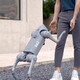 
Yushu Voice AI Big Model Machine Dog Embodied Intelligent Bionic Accompaniment Four-legged Robot Go2-Pro Long Battery + Remote Control