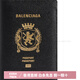 Balenciaga Passport Logo geprägtes Semi-Matte Weiche Textur Kalbskinte Passportbag Herren-Basispaket für Männer (Tasche + Staubbeutel)