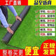Simulated lawn artificial turf artificial fake lawn carpet simulated plastic lawn mat outdoor 2 cm thick spring grass 1 meter wide * 6 long