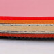 729 Table Tennis Racket KING Gold 6 Stars 7 Stars 8 Stars 9 Stars Double-sided reverse glue horizontal and vertical single shot 789 Stars 6 Stars horizontal shot Golden Six Stars Long handle 1 package Free photo set