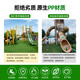 Simulated lawn carpet, green plastic decorative artificial grass bedding, kindergarten artificial floor mat, outdoor fake turf, 3cm encrypted soft spring grass, recommended by the store manager, no residue, 5-year warranty, 1.5 meters wide and 3 meters long