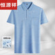 
Hengyuanxiang middle-aged men's lapel short-sleeved T-shirt daddy suit summer thin polo shirt. Middle-aged and elderly ice silk half-sleeved men's elderly ice silk-9855 gray real pocket M 48/165