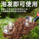 根力豆椰砖营养土椰糠砖养花种菜通用型椰壳砖花土椰砖椰土土壤种植土 脱盐椰糠砖【675G一块】