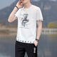 
Caiqiao Men's Set Summer 2025 New Men's Set T-Shirt Short Sleeve Summer Loose Casual Sports Breathable Set Black FSLING Fishing (Top + Pants) 6630 M Proposal 100-120Jin [Jin equals 0.5 kg]
