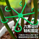 
Monstera plant support pole Flower Phalaenopsis fixed green plant anti-lost gardening flower stand fixture collector [1 set of green] including four sizes