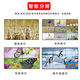TCL 55 pouces 3,5 mm LCD Écran d'écran d'épissage 4K Ultra-High Definition Conference et bureau de surveillance de la sécurité à grand écran Affichage intégré l'installation intégrée Consulter le service client, Solution personnalisée