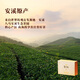 Bama Tea Oolong Tea Sai Pearl 1000 Tieguanyin Strong Fragrance Special Grade 250g Gift Box Tea for Gifts