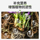 Correction Hualeduo powerful rooting powder plant rapid rooting liquid cutting tree transplanting strong seedlings water-soluble fertilizer flower rooting agent 500g