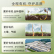 东阳光冬虫夏草3-4根/g11g约38根虫草高端礼盒营养品补品送长辈父母