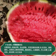 Dayu Lazy Man Watermelon Seed Seedlings Extra Large Suitable for Early Maturing Lazy People in the South 8424 Kirin Melon Meidu Seedless Fruits and Vegetables Rock Sugar Kirin Watermelon Seeds 60 capsules