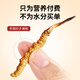 Tongfu Cordyceps Sinensis 2 Roots/G 20g 40 Корни подарочная коробка, питательные пищевые добавки, подарки для старейшин