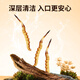 Tongfu Cordyceps Sinensis 2 Roots/G 20g 40 Корни подарочная коробка, питательные пищевые добавки, подарки для старейшин