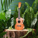 
Morson ukulele girls beginners entry-level children advanced small guitar 23-inch Ukrili male anchor 23-inch wood color gift bag 23-inch